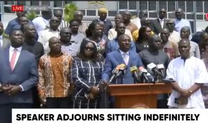 Akatsi South MP blames NPP MPs for causing financial loss to the State
